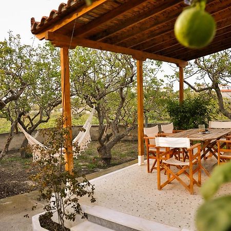 Elena'S Guest House Αίγινα Εξωτερικό φωτογραφία