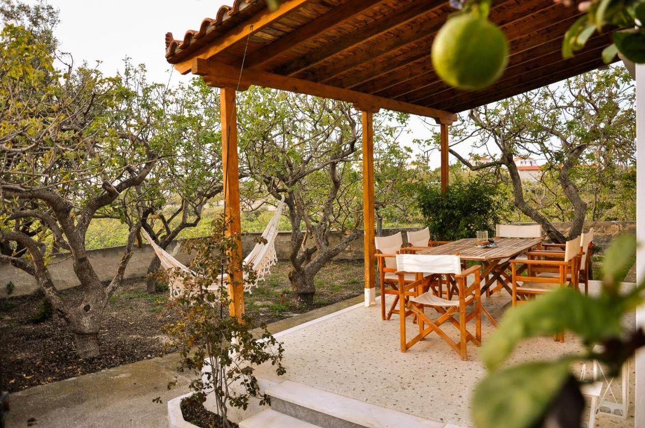 Elena'S Guest House Αίγινα Εξωτερικό φωτογραφία