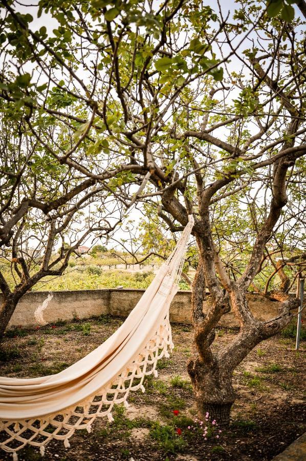 Elena'S Guest House Αίγινα Εξωτερικό φωτογραφία