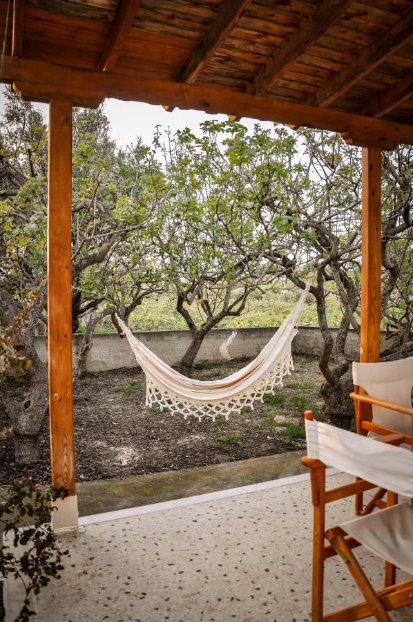 Elena'S Guest House Αίγινα Εξωτερικό φωτογραφία