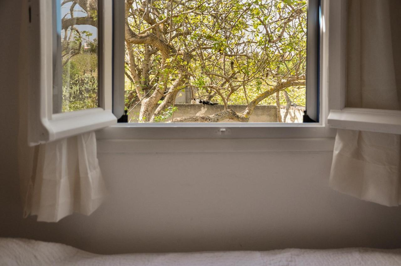 Elena'S Guest House Αίγινα Εξωτερικό φωτογραφία