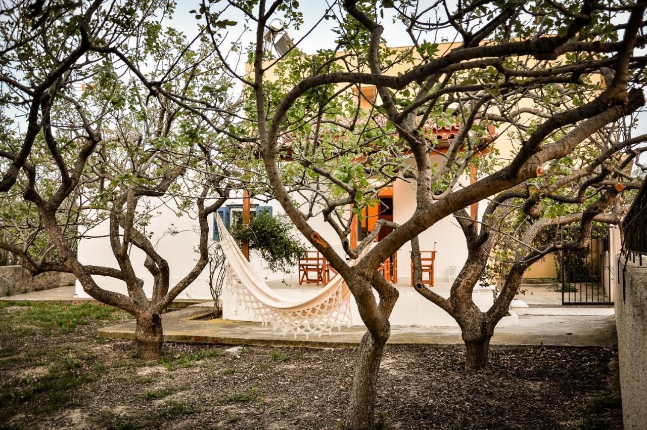 Elena'S Guest House Αίγινα Εξωτερικό φωτογραφία