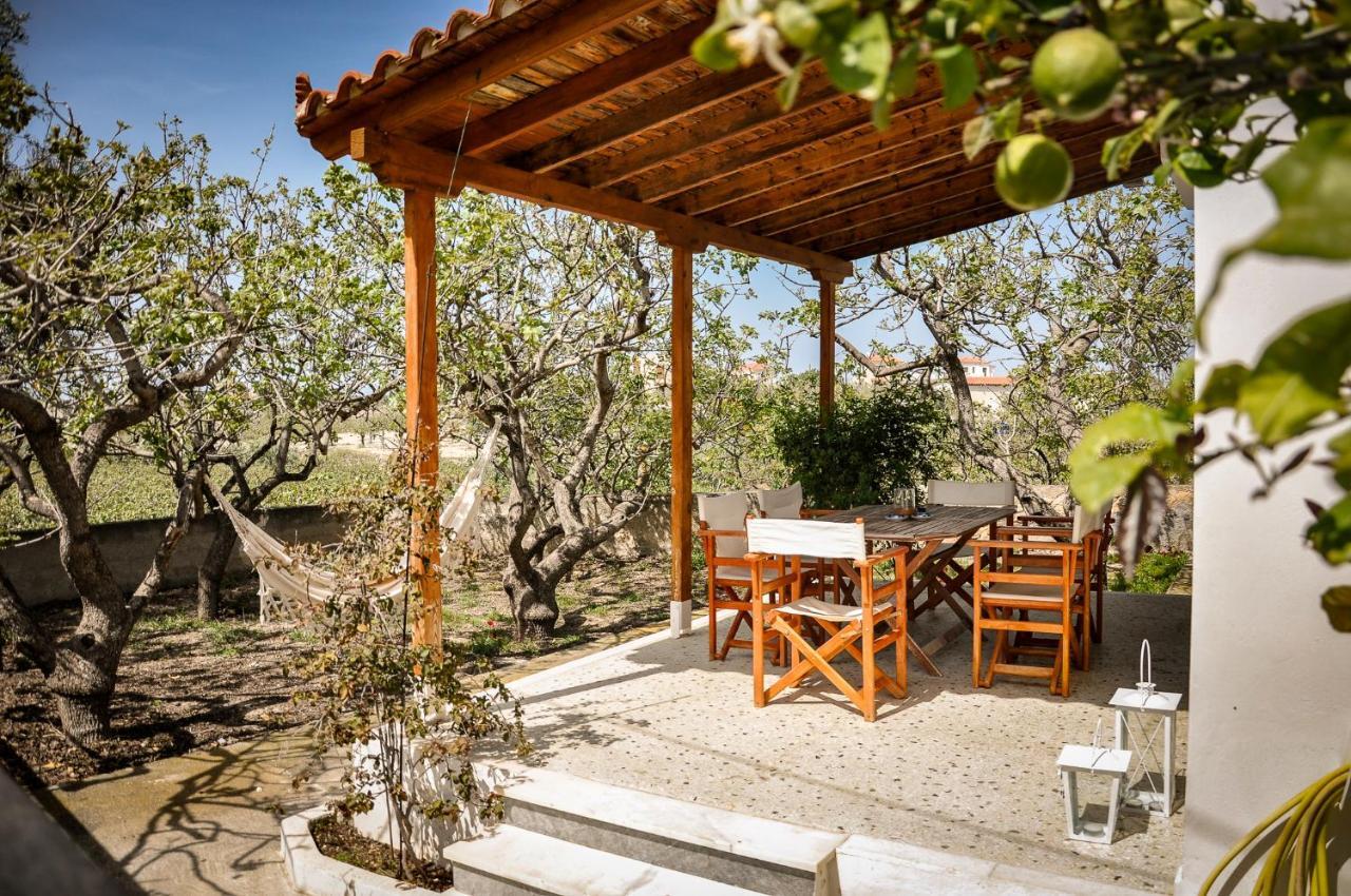 Elena'S Guest House Αίγινα Εξωτερικό φωτογραφία