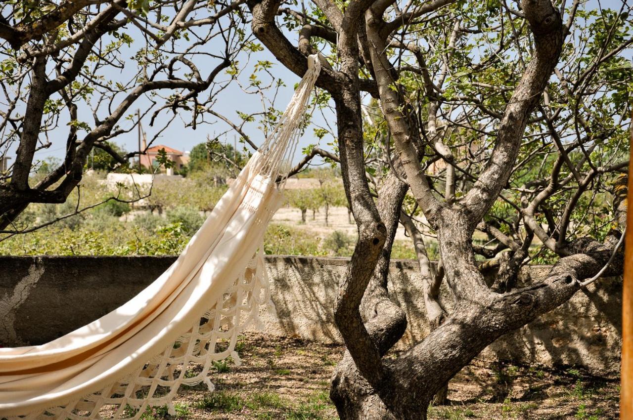 Elena'S Guest House Αίγινα Εξωτερικό φωτογραφία