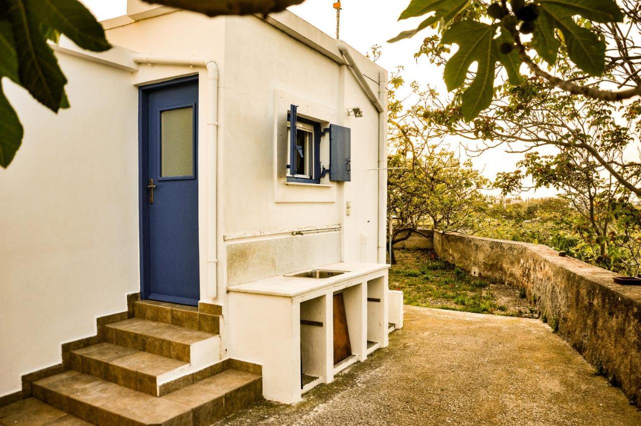 Elena'S Guest House Αίγινα Εξωτερικό φωτογραφία