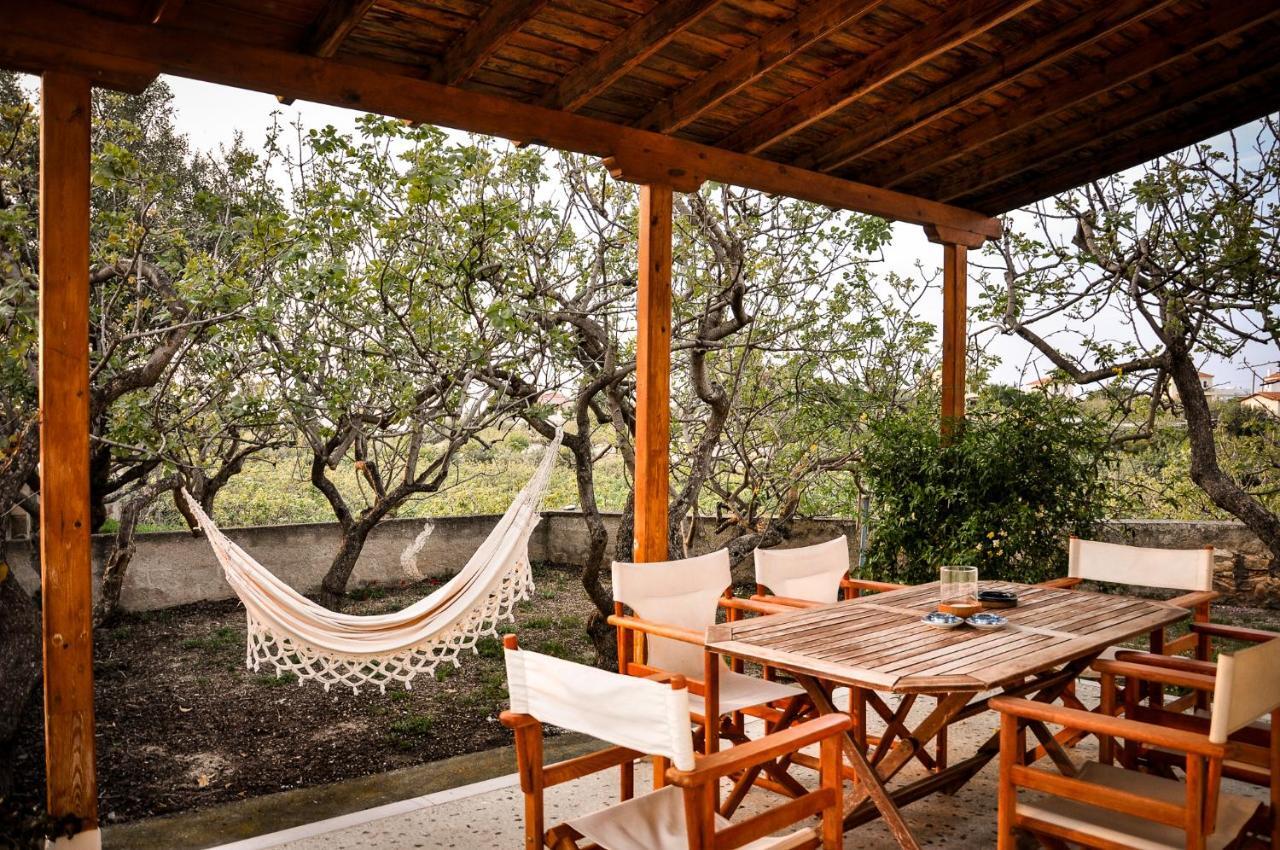 Elena'S Guest House Αίγινα Εξωτερικό φωτογραφία
